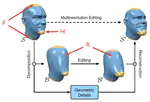 Shape Deformation via Multiresolution Editing
